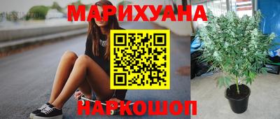 ПСИЛОЦИБИНОВЫЕ ГРИБЫ Кандалакша